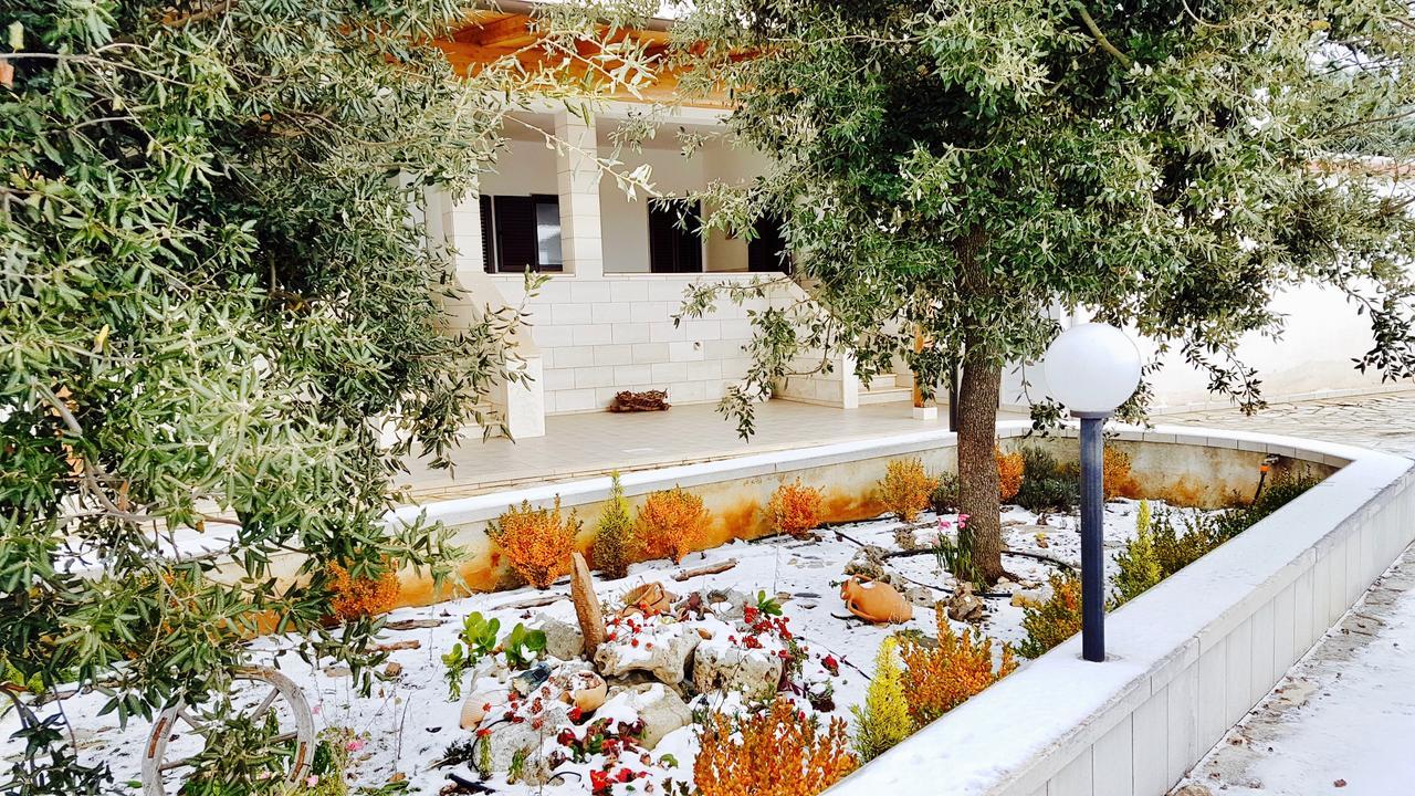 Villa Wonder อัลเบโรเบลโล ภายนอก รูปภาพ